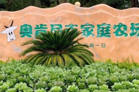 打造独特的家庭农场名字，提升农场魅力