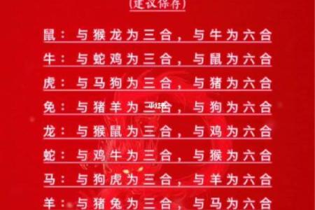 男属马女属羊是否合适？生肖配对分析揭秘