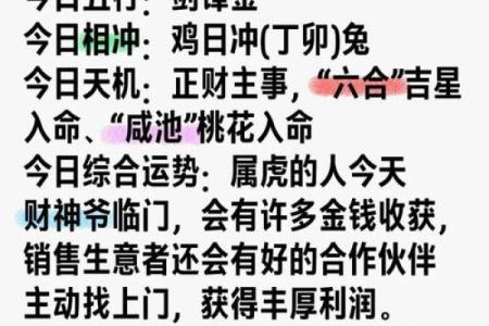 属虎的每月运势与运程分析，掌握好运之道