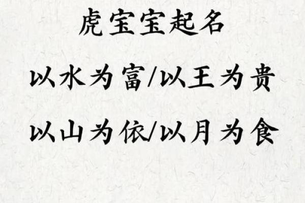 创新虎字起名公司，提升品牌形象