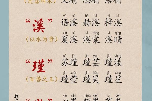 创新虎字起名公司，提升品牌形象