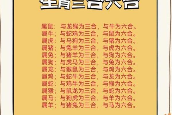 生肖运势大揭秘:2024年生肖运势抢先看 生肖运势大揭秘:2024年生肖运势抢先看