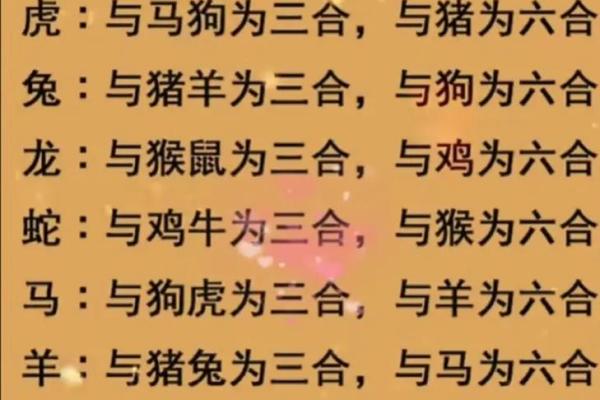 牛狗婚姻配对：是否能够和谐共处？