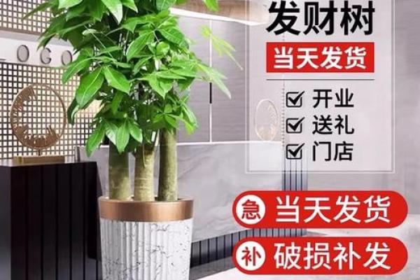办公室布置风水细节助你步步高升