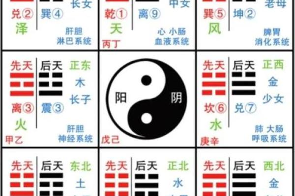 测人生辰八字，揭开命运的神秘面纱！