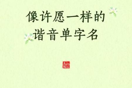 蓓蓓：一个充满希望与美好的名字寓意