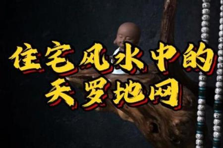 从专业风水网获取最精准的命理分析与风水建议