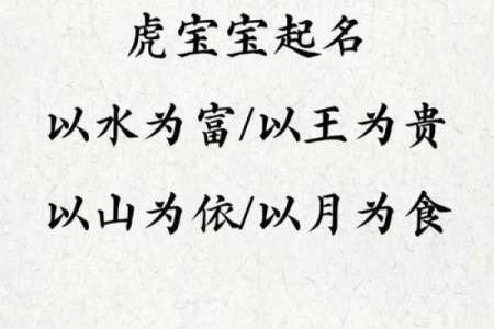 创新虎字起名公司，提升品牌形象