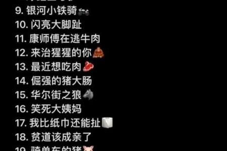 不可思议的搞笑名字，笑点满满