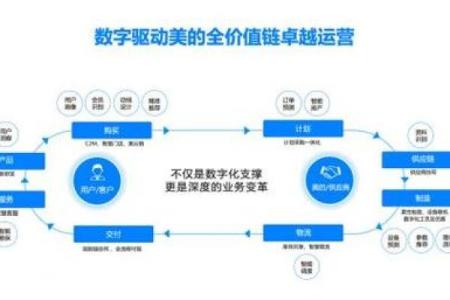 从五行支付看数字化转型，企业如何把握新机遇