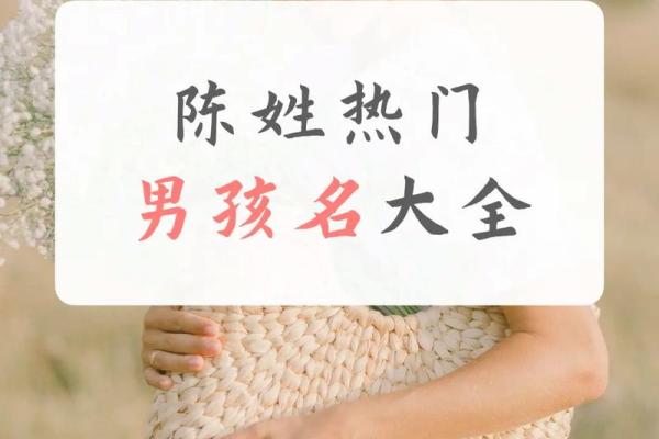 陈姓宝宝名字推荐及含义解析