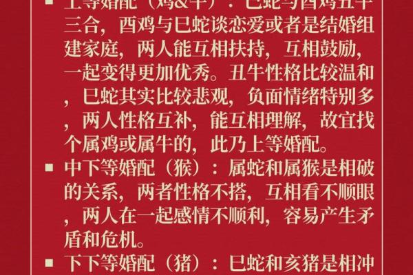 属蛇与属鸡的缘分如何，是否注定一生相守