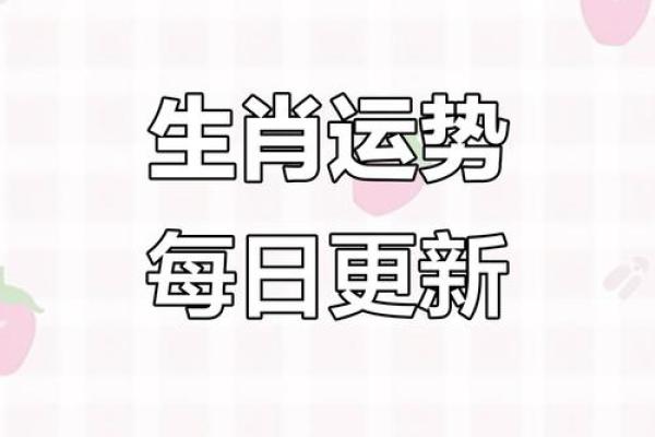 生肖运势全解析：每个生肖的幸运与挑战