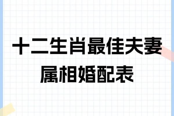 生肖相配表揭示的最佳婚配组合解析