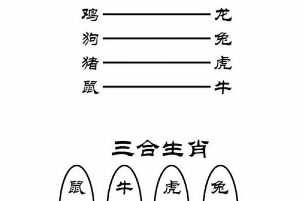男属猪女属龙的命理配对解析