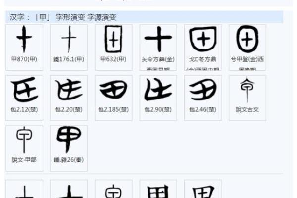 丙字公司名称的选择建议与实际案例