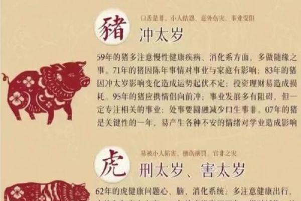 蛇生肖每月健康运势预测