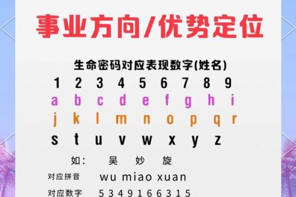 查看名字的重要性与背后的含义