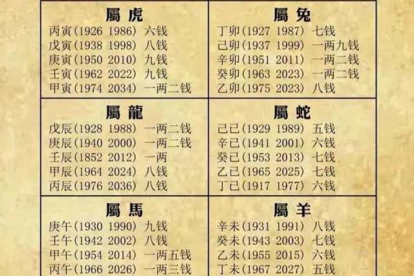 出生的命运揭秘：这一天的生辰八字暗示了什么？