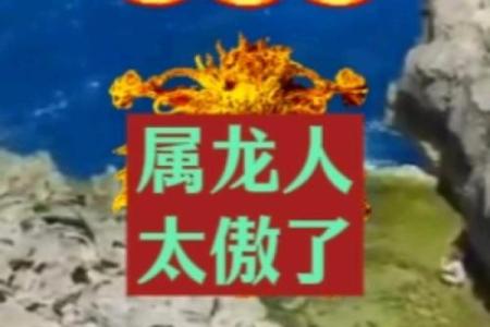 属龙人和属鸡人的性格契合度分析