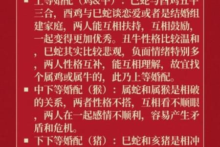 属蛇与属鸡的缘分如何，是否注定一生相守