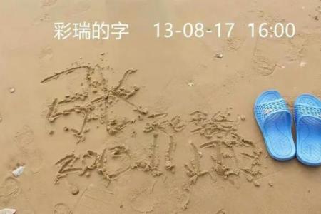 丙字公司名称的选择建议与实际案例