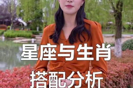 马猴相合吗？探索属马与属猴的最佳配对