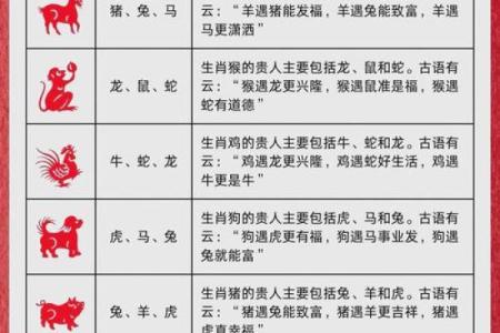 生肖运程全解析：哪些属相迎来好运