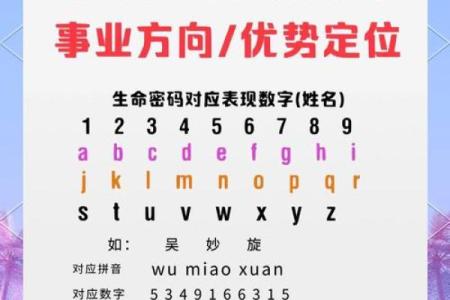 查看名字的重要性与背后的含义