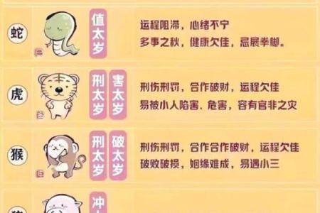 每月运程预测：生肖运势逐月解析