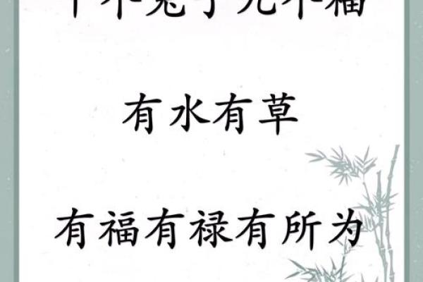 影响水命的名字特点与建议