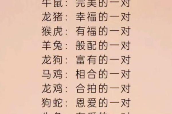 兔与哪些动物最相配，生肖配对解析