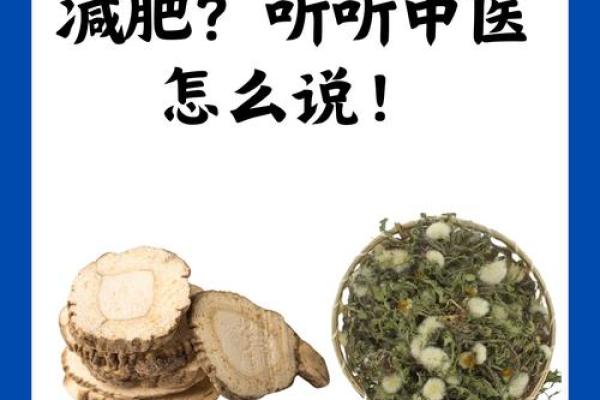 从古至今，草药如何影响我们的健康生活