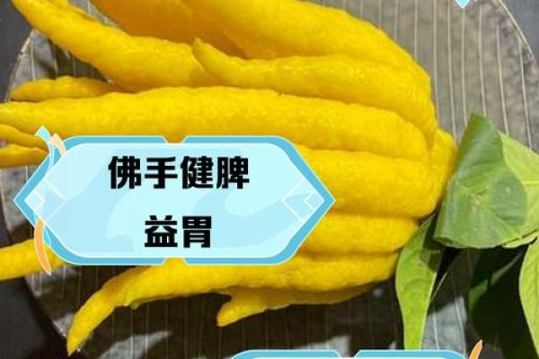 佛手与命运：改变运势的神奇力量