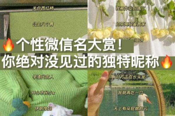 创意十足的老人微信名字，助力长辈社交更有趣