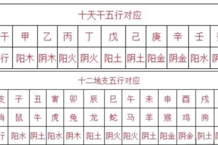 从五行看每年运势，如何用五行调整人生轨迹