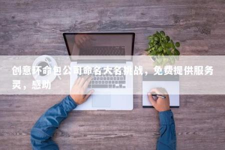 创意环命包公司命名大名挑战，免费提供服务灵，感助