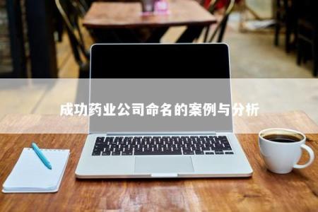 成功药业公司命名的案例与分析