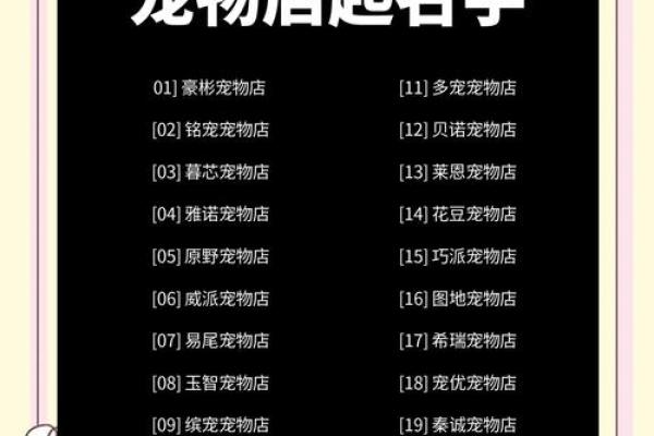 从动物世界中汲取灵感，如何为公司取个响亮名字