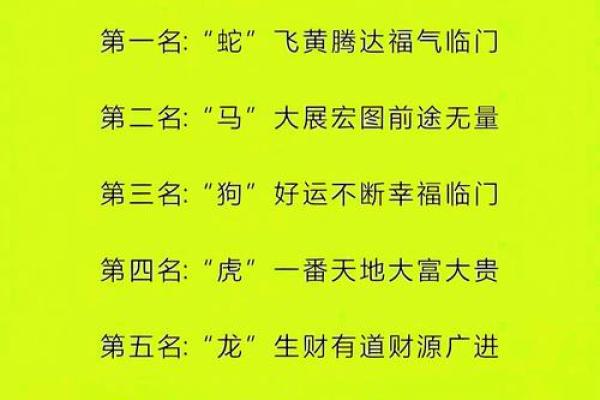 十二生肖运势解析：各个生肖的好运与挑战