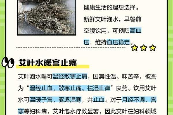 艾字取名的独特寓意与命名技巧