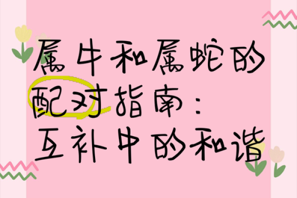 男属牛女属牛的缘分与婚姻适配度评估