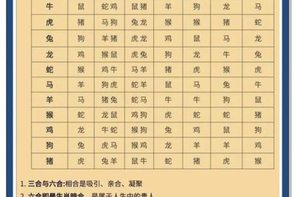 出生的生肖命运揭秘