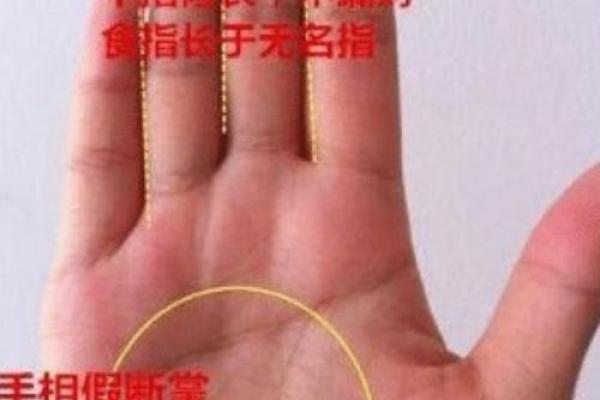 从手纹看财富运势：哪些掌纹象征富贵