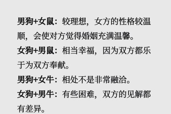 从属相角度看最适合的婚配组合