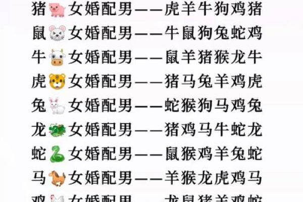 从属相角度看最适合的婚配组合