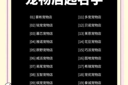 从动物世界中汲取灵感，如何为公司取个响亮名字