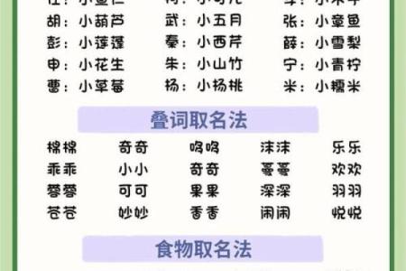 鸡年男宝宝带木起名的最佳选择与技巧