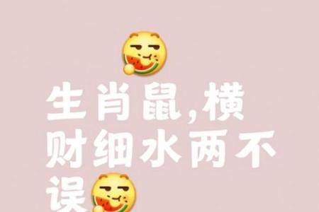 本命年属鼠的财运爆发期如何把握