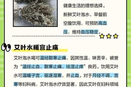 艾字取名的独特寓意与命名技巧
